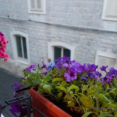 Allegra Appartement Sinj